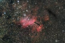 Prawn Nebula 