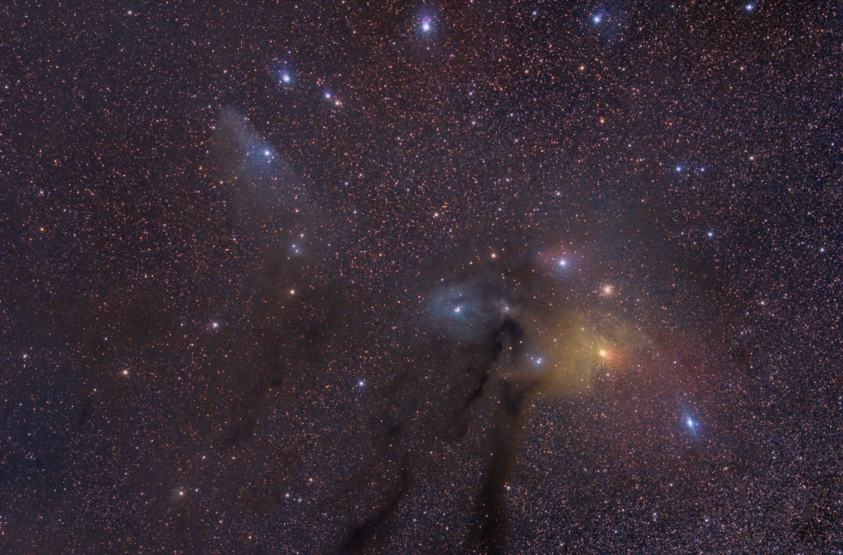 rho ophiuchi complex